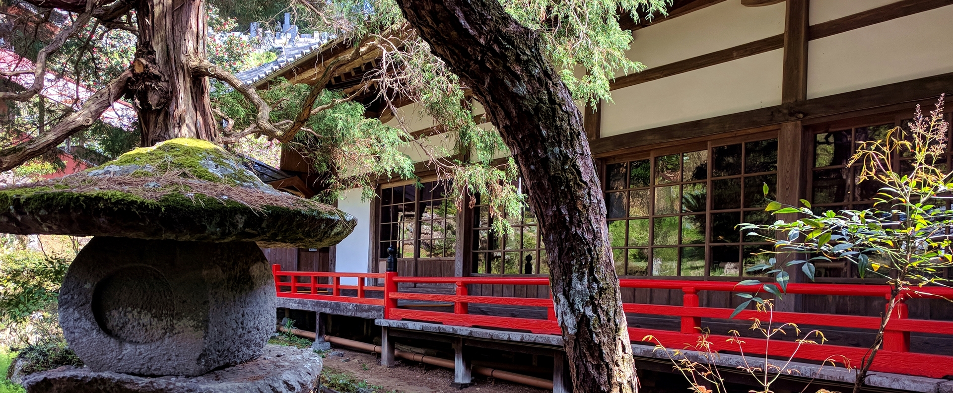 清雲寺　床みどり